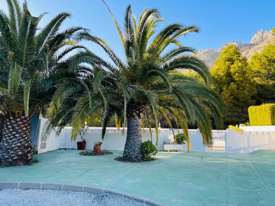 Peace And Nature Altea La Vella 阿利坎特 外观 照片